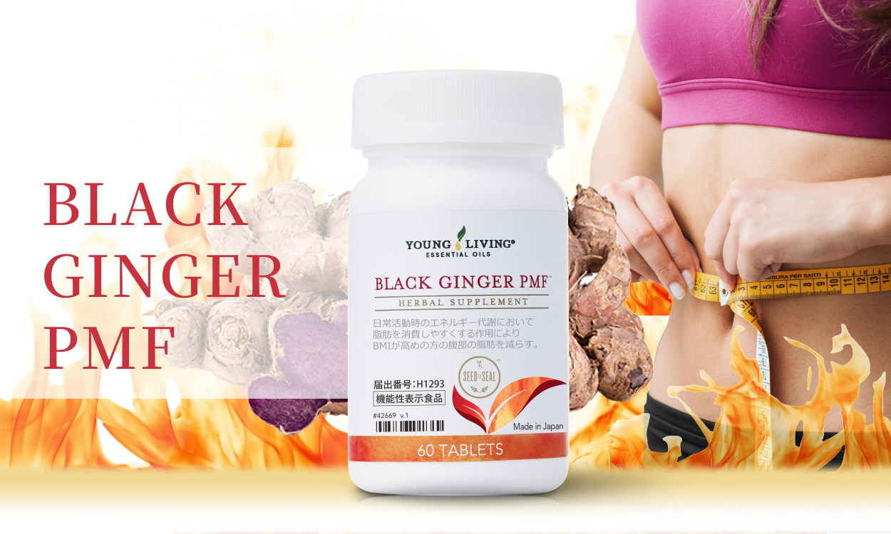 BLACK GINGER PMF